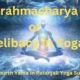 What is Brahmacharya in Yoga