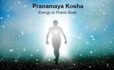 What is Pranamaya Kosha