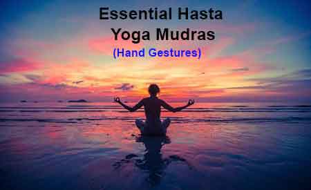 essential hasta yoga mudras