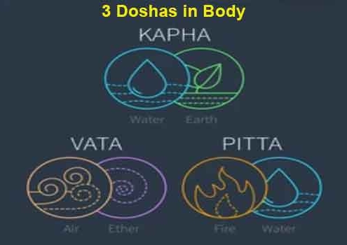 3 Doshas in Body