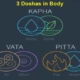 3 Doshas in Body