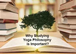 why studying yoga philosophy is important