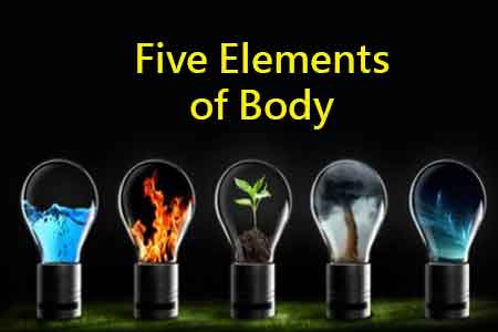 Five Elements of Body