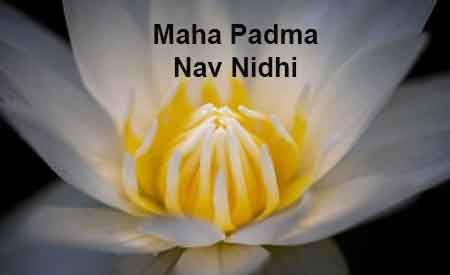 Mahapadma Nav Nidhi