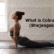 What is Cobra pose (Bhujangasana)